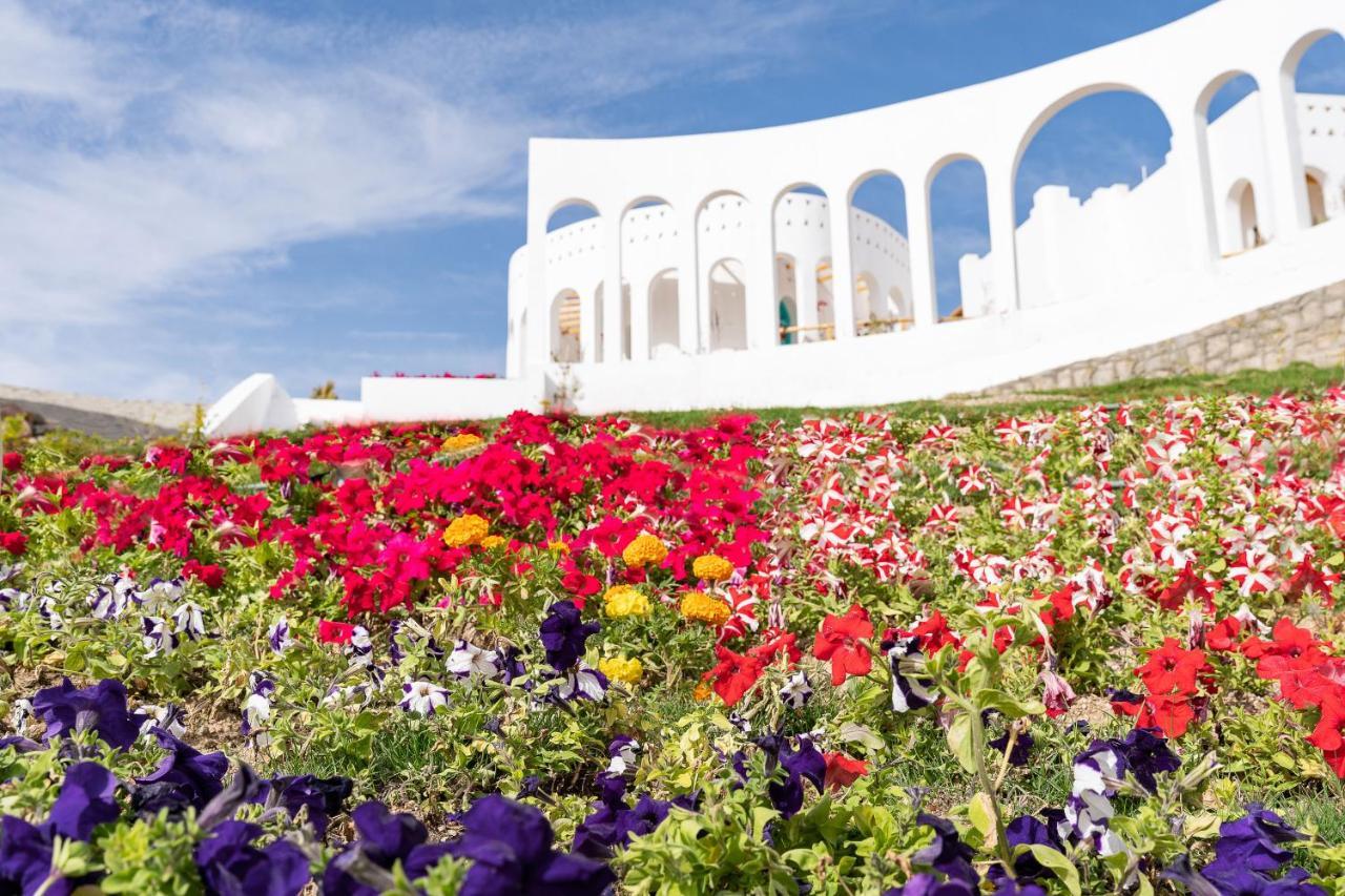 Benben By Dhara Hotels - Adults Only Asuán Exterior foto The Flower Festival in the city of Akita
